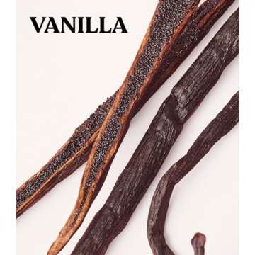 Victoria's Secret PINK Body Lotion, Vanilla 12 oz