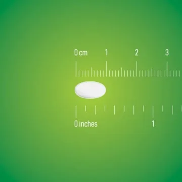 Amazon Basic Care 24 Hour Allergy Relief 300 Count