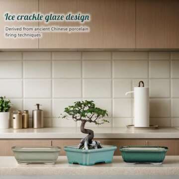 FFPOPU 3-Packs Ceramic Bonsai Pots with Drainage Tray, 6-inch Cute Bonsai Tree Pot with Ice Cracked Glaze, Small Bonsai Planter Pot for Desktop Decoration