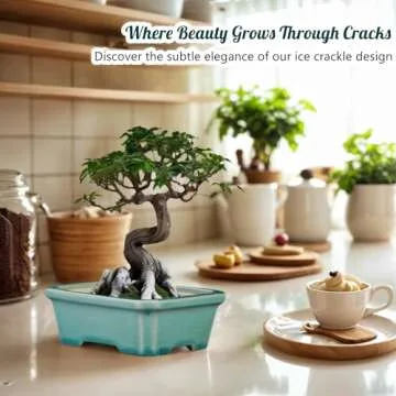FFPOPU 3-Packs Ceramic Bonsai Pots with Drainage Tray, 6-inch Cute Bonsai Tree Pot with Ice Cracked Glaze, Small Bonsai Planter Pot for Desktop Decoration