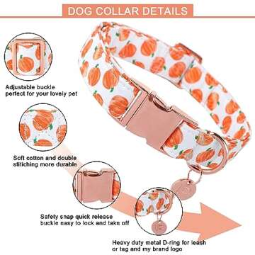 UP URARA PUP Halloween Dog Collar with Metal Buckle Gift Fall Dog Collar for Small Medium Large Girl...