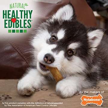 Nylabone Healthy Edibles Natural Puppy Chews Long Lasting Treats for Puppies, Lamb & Apple Flavor, Small/Regular (3 Count)