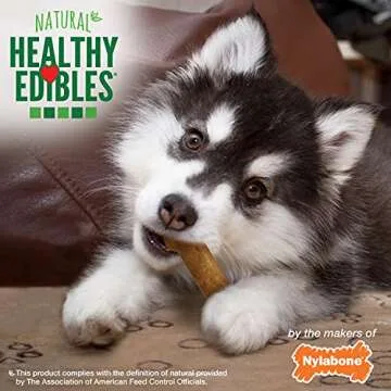 Nylabone Healthy Edibles Natural Puppy Chews Long Lasting Treats for Puppies, Lamb & Apple Flavor, Small/Regular (3 Count)