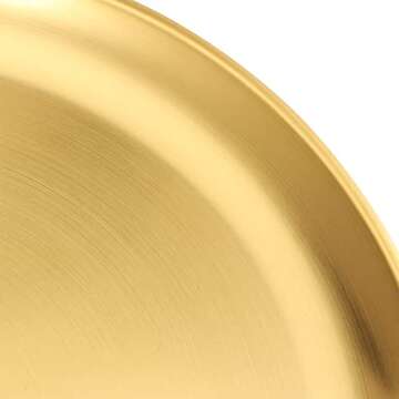 Stainless Steel Dinner Plates for Any Occasion - JOIKIT
