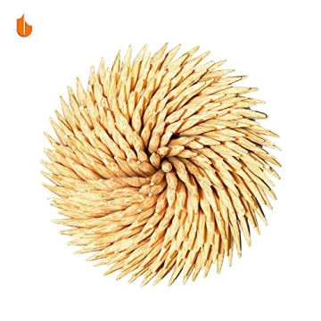 Urbanstrive Sturdy Toothpick Holder with 800 Bamboo Picks