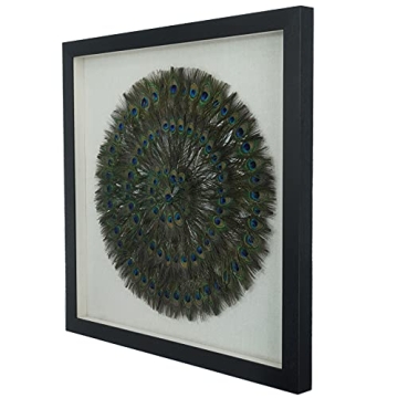 Stunning Huji Peacock Feather Shadow Box Wall Décor