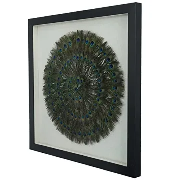 Stunning Huji Peacock Feather Shadow Box Wall Décor