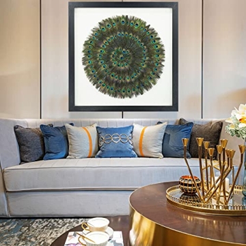 Stunning Huji Peacock Feather Shadow Box Wall Décor