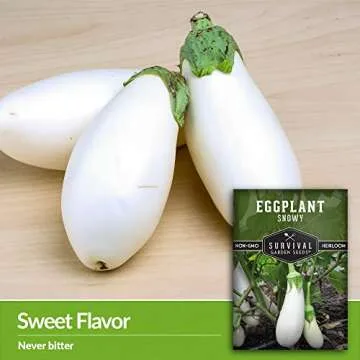Snowy Eggplant Seeds - Non-GMO Heirloom for Your Garden