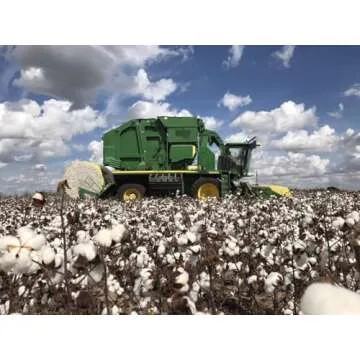 Grown in The USA Raw Cotton Stuffing/Batting. (3lb)