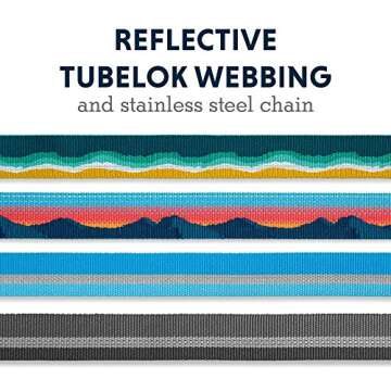 Ruffwear Chain Reaction Dog Collar for Walking and Training