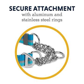 Ruffwear Chain Reaction Dog Collar for Walking and Training