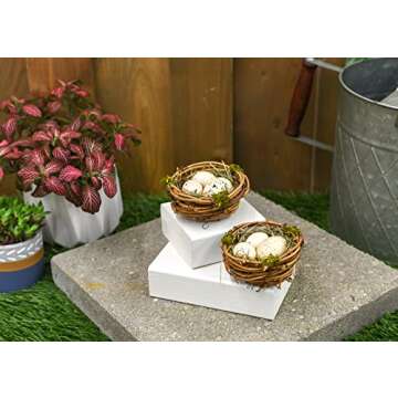 RAZ Imports Faux Bird's Nests with Speckled Eggs, Decorative Easter Accent, Spring Decoration, Box Set of 2, Brown, Green, Tan, Yellow, Beige, 3''Diax2''H