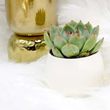 Premium Custom Gift Box for Any Occasion