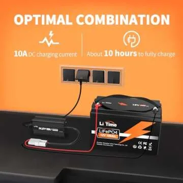 Litime 12V 100Ah LiFePO4 Battery for Marine and RV Use