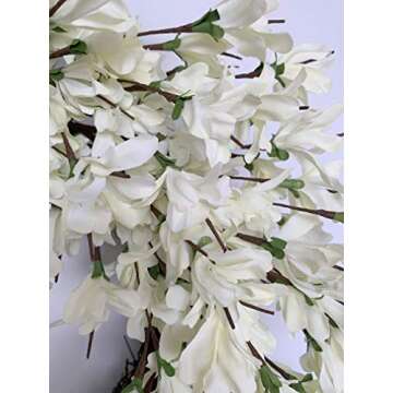 White Cream Forsythia Wreath 24 Inch Spring Front Door Blossom Cluster Flower Farmhouse Wreath on Grapevine for Christmas Festival Celebration Front Door Wall Window Hanging Décor
