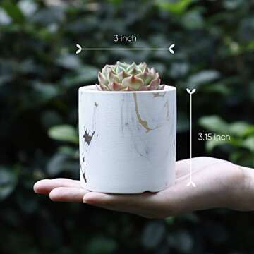 Greenaholics Succulent Plant Pots - 3 Inch Small Ceramic Cylindrical Planter Containers for Cactus or Flowers with Drainage Hole and Bamboo Tray - Marble Set of 3