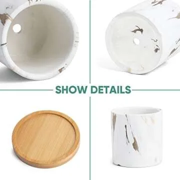 Greenaholics Succulent Plant Pots - 3 Inch Small Ceramic Cylindrical Planter Containers for Cactus or Flowers with Drainage Hole and Bamboo Tray - Marble Set of 3