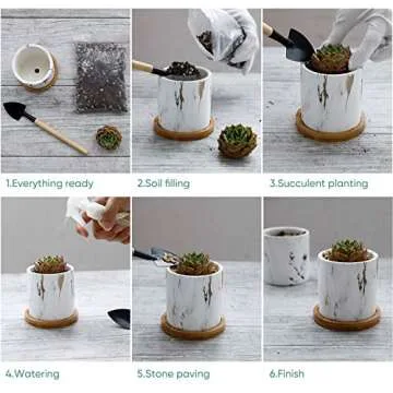 Greenaholics Succulent Plant Pots - 3 Inch Small Ceramic Cylindrical Planter Containers for Cactus or Flowers with Drainage Hole and Bamboo Tray - Marble Set of 3