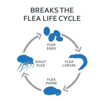 SENTRY Fiproguard Flea and Tick Prevention for Cats