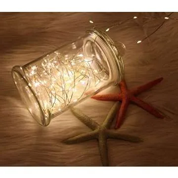 WSgift 2 Pack 20 Feet 60 Warm White Led Battery Operated Fairy Lights with Remote Control Timer Waterproof Silver Copper Wire Twinkle String Lights for Party Bedroom Wedding Christmas Decorations