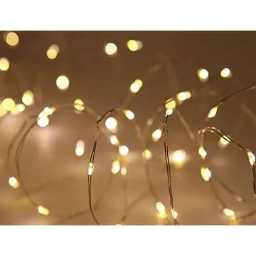 WSgift 2 Pack 20 Feet 60 Warm White Led Battery Operated Fairy Lights with Remote Control Timer Waterproof Silver Copper Wire Twinkle String Lights for Party Bedroom Wedding Christmas Decorations
