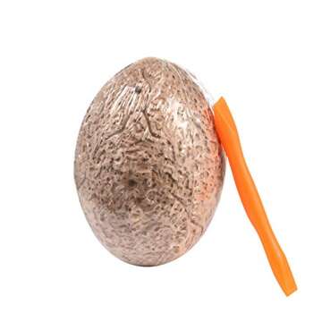 Revanak Dinosaur Eggs Kit Dig it Up - 12 Packs Mystery Excavation Adventure Discover Dinosure Eggs Toys- Science STEM Learning Kids Activity and Imagination Development (12 Packs)