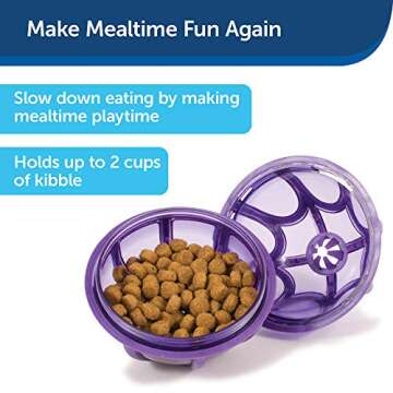 PetSafe Busy Buddy Kibble Nibble Treat Dispenser Toy