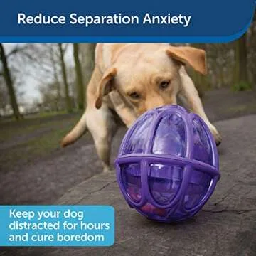 PetSafe Busy Buddy Kibble Nibble Treat Dispenser Toy