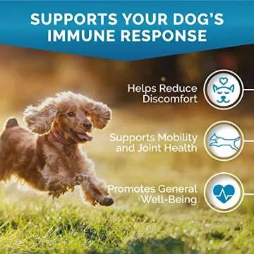 PREMIUM CARE Glucosamine Chews for Dogs with Hemp - Hip and Joint Health Supplement for Mobility Support - Dog Glucosamine Chews with Hemp for Dogs- 120 Hemp Treats