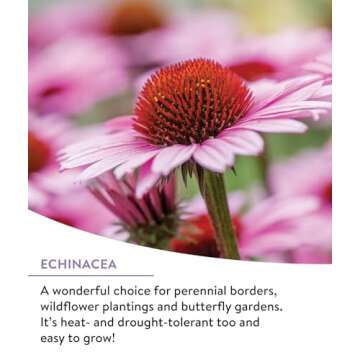 Burpee Wildflower 25,000 Bulk Seed Mix | 18 Varieties of Non-GMO Flower Seeds