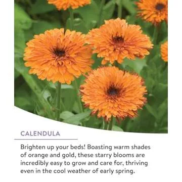 Burpee Wildflower Seeds Mix - 25,000 Non-GMO Seeds