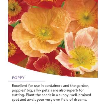 Burpee Wildflower Seeds Mix - 25,000 Non-GMO Seeds