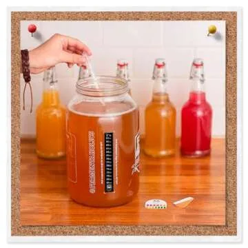 3 Pack Kombucha Fermentation Adhesive Strip Thermometer - Displays Temperature in Degrees in Celsius and Fahrenheit - Easy to Use - Accurate - Great for Kombucha, Beer, Wine, Vegetable Fermentation