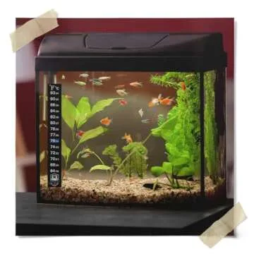 3 Pack Kombucha Fermentation Adhesive Strip Thermometer - Displays Temperature in Degrees in Celsius and Fahrenheit - Easy to Use - Accurate - Great for Kombucha, Beer, Wine, Vegetable Fermentation