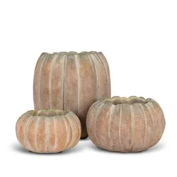 Abbott Collection 27-PUMPKIN-220-LG Large Low Cement Pumpkin Indoor and Outdoor Planter Pot