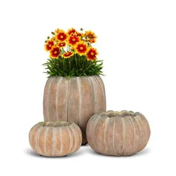 Abbott Collection 27-PUMPKIN-220-LG Large Low Cement Pumpkin Indoor and Outdoor Planter Pot