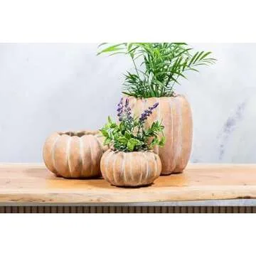 Abbott Collection 27-PUMPKIN-220-LG Large Low Cement Pumpkin Indoor and Outdoor Planter Pot