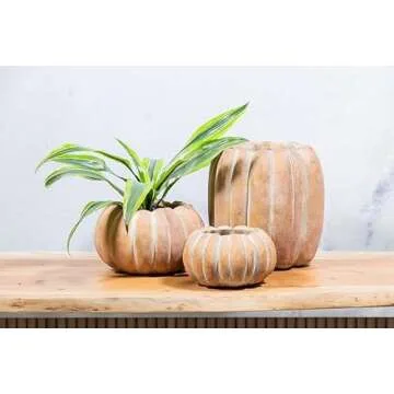 Abbott Collection 27-PUMPKIN-220-LG Large Low Cement Pumpkin Indoor and Outdoor Planter Pot