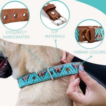 Paw Tribe Western Dog Collar - Stylish Leather Dog Accessory