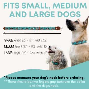 Paw Tribe Western Dog Collar - Stylish Leather Dog Accessory