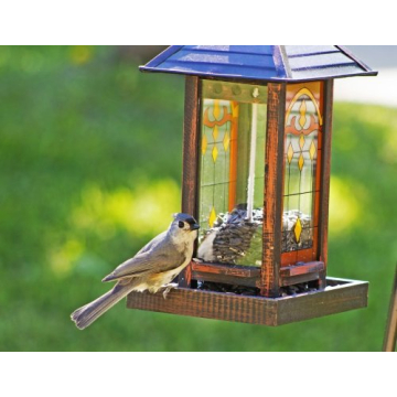 Wagner's Black Oil Sunflower Wild Bird Food 25 lb Bag