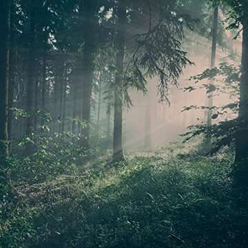 Skandinavisk Hibernate Giftset of 3 Mini Scented Candles. Skog 'Forest', Hygge 'Cosiness', and KOTO 'Home'. Vegan Formula. 3 x 2.3 oz.