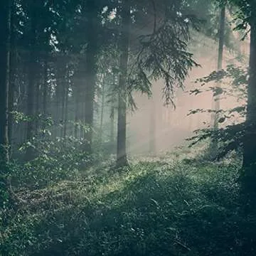 Skandinavisk Hibernate Giftset of 3 Mini Scented Candles. Skog 'Forest', Hygge 'Cosiness', and KOTO 'Home'. Vegan Formula. 3 x 2.3 oz.