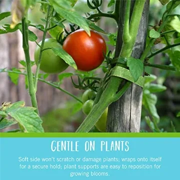 VELCRO Garden Ties | Reusable & Adjustable Plant Supports