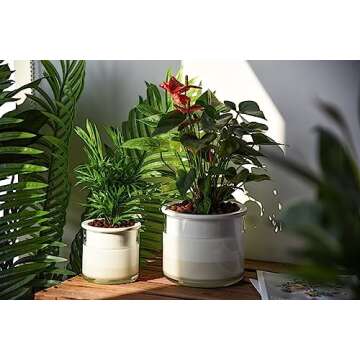 Phoenix Vine 6 Inch 4 Inch Self Watering Planter Pots, Design White Terracotta Pots for Plants, Indo...
