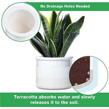 Phoenix Vine 6 Inch 4 Inch Self Watering Planter Pots, Design White Terracotta Pots for Plants, Indoor Cylinder Terra Cotta Pots with Glass Vase Set, 51-B-G-46