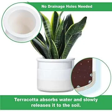 Phoenix Vine 6 Inch 4 Inch Self Watering Planter Pots, Design White Terracotta Pots for Plants, Indoor Cylinder Terra Cotta Pots with Glass Vase Set, 51-B-G-46
