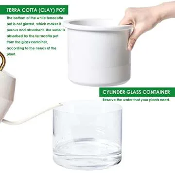Phoenix Vine 6 Inch 4 Inch Self Watering Planter Pots, Design White Terracotta Pots for Plants, Indoor Cylinder Terra Cotta Pots with Glass Vase Set, 51-B-G-46