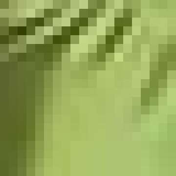 Mxiqqpltky Women Sexy 2 Piece Outfits Long Sleeve Green